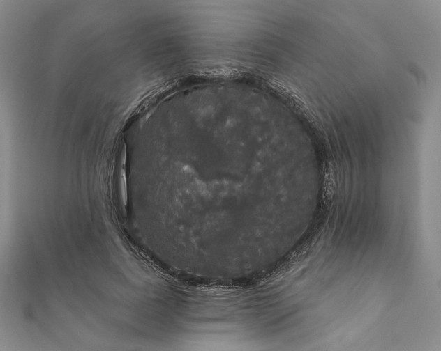 X0000111910739200908031137