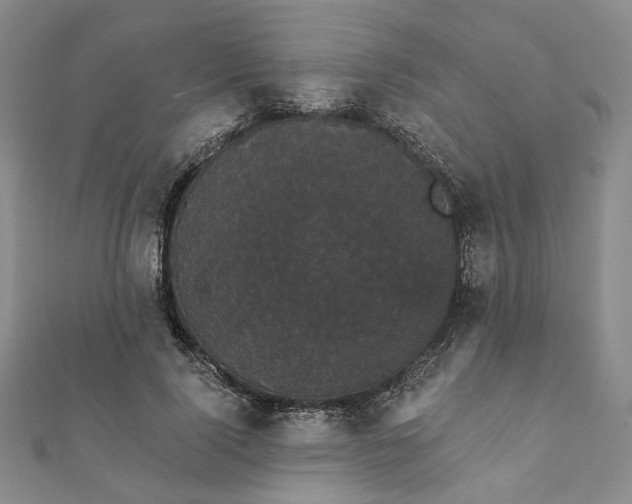 X0000111910740200908031137