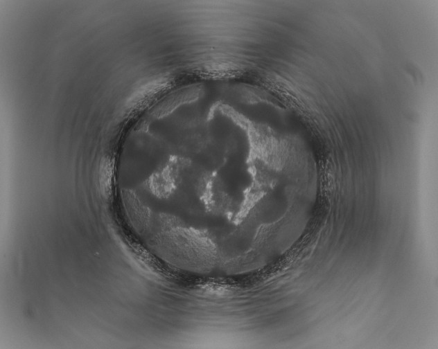 X0000111910742200908031137