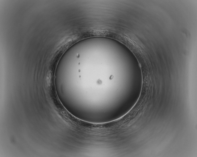 X0000111910744200908031137