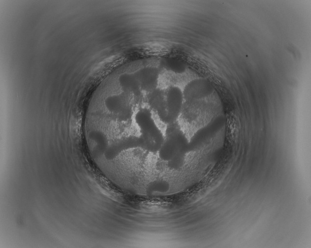 X0000111910745200908031137