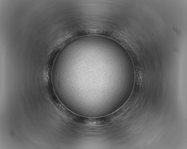 X0000111910746200908031137