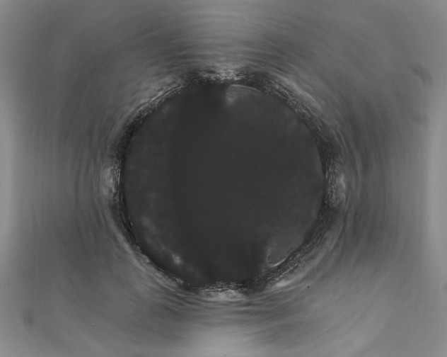 X0000111910747200908031137
