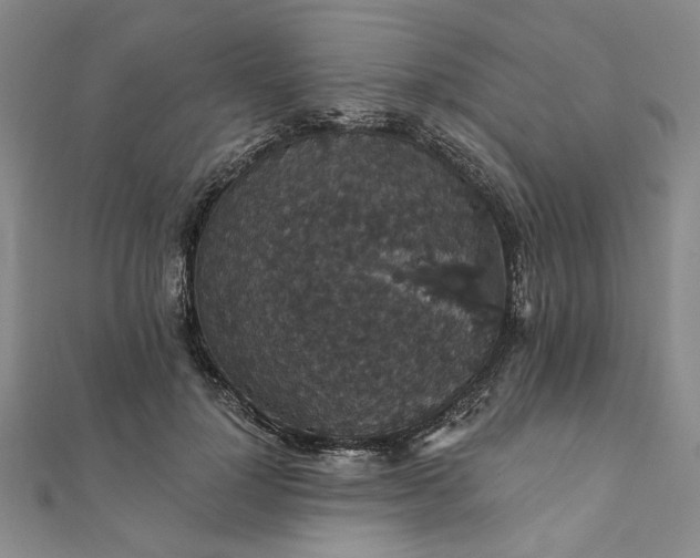 X0000111910748200908031137