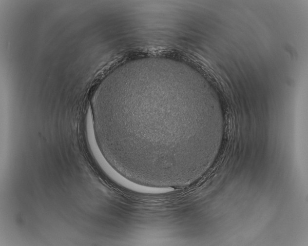 X0000111910750200908031137