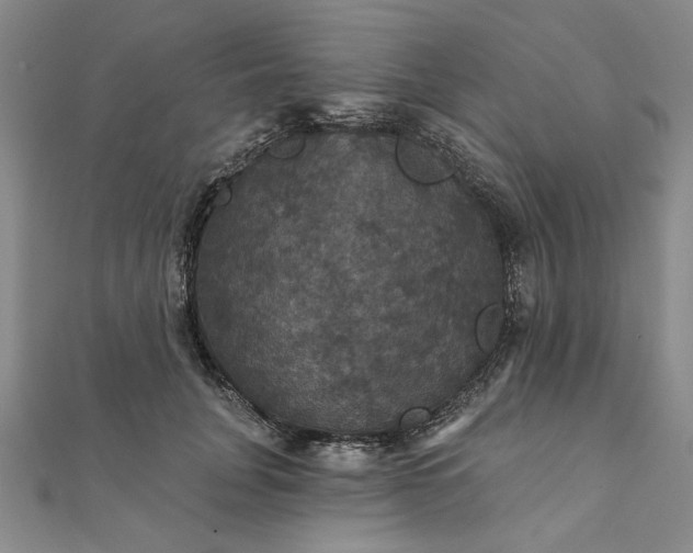 X0000111910751200908031137