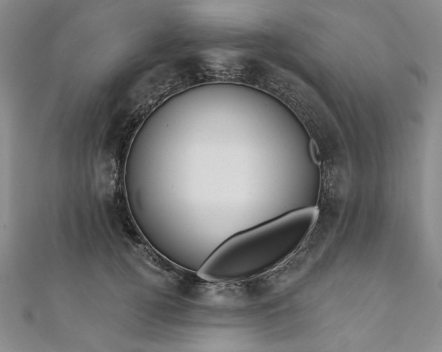 X0000111910752200908031137