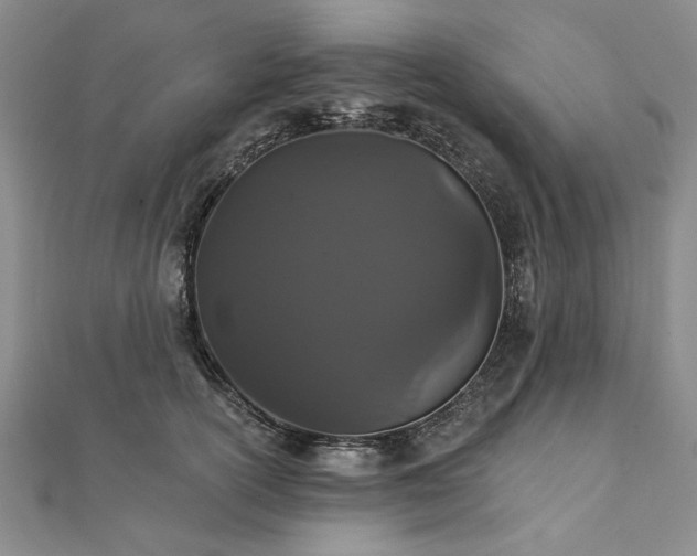 X0000111910754200908031137