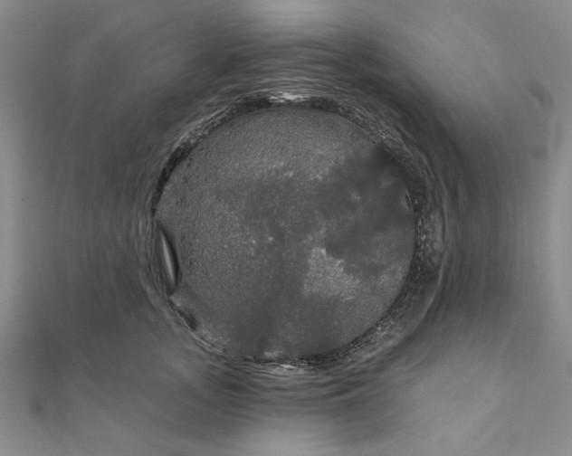 X0000111910755200908031137