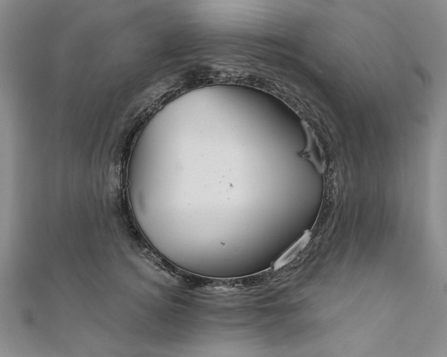 X0000111910756200908031137