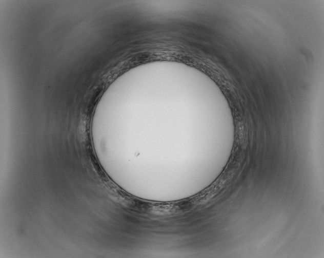 X0000111910757200908031137