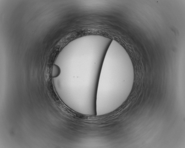 X0000111910758200908031137