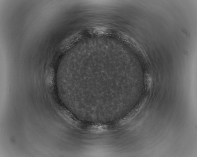 X0000111910760200908031137