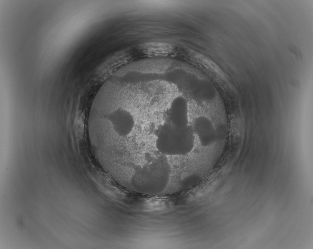 X0000111910761200908031137
