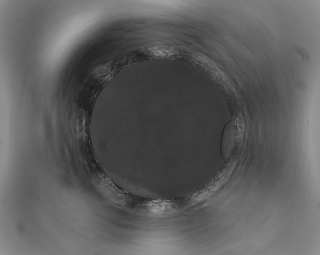 X0000111910762200908031137