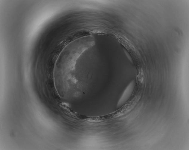 X0000111910763200908031137