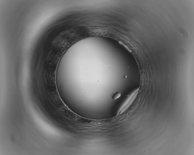 X0000111910764200908031137