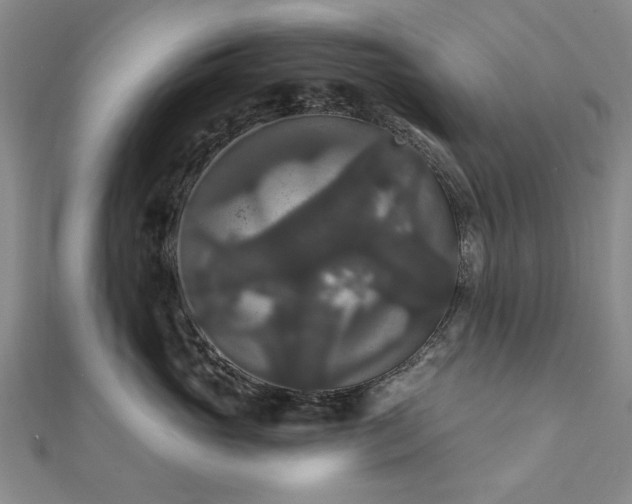 X0000111910765200908031137