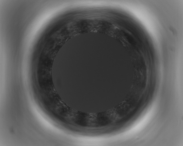 X0000111910767200908031137