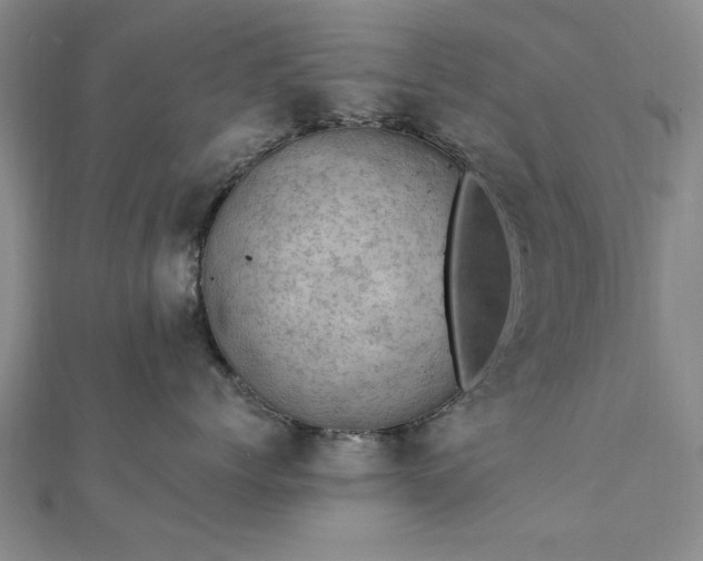 X0000111910768200908031137