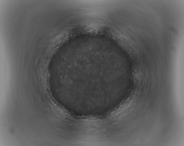 X0000111910769200908031137