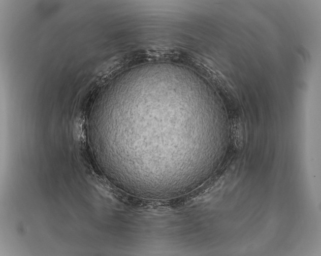 X0000111910770200908031137