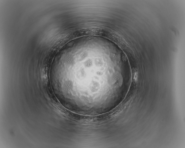 X0000111910771200908031137