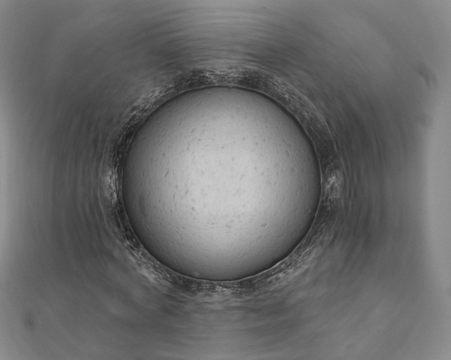 X0000111910772200908031137