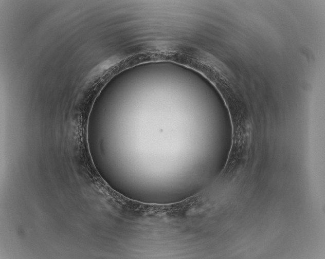 X0000111910773200908031137