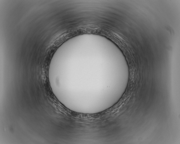 X0000111910774200908031137