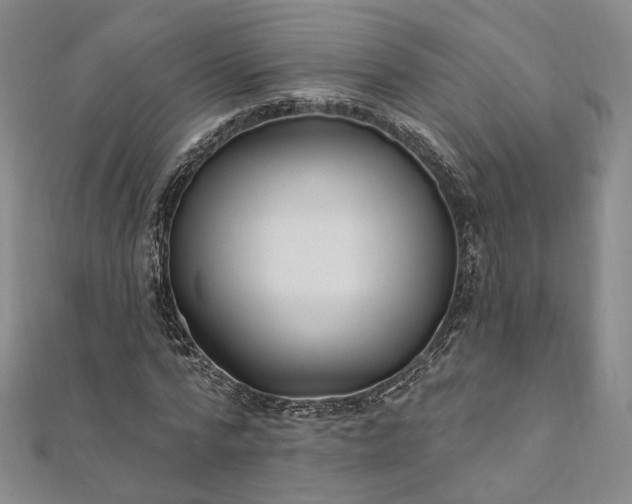 X0000111910776200908031137