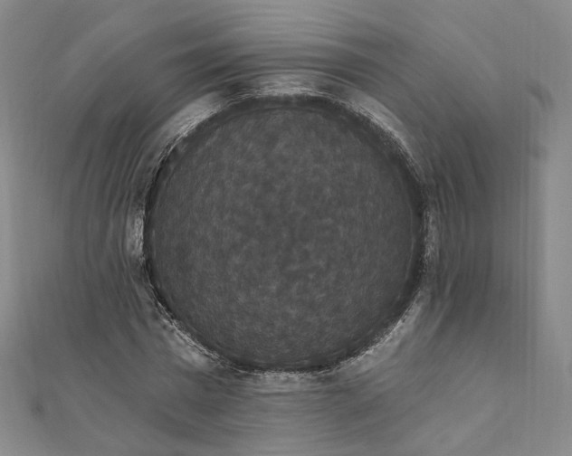 X0000111910777200908031137