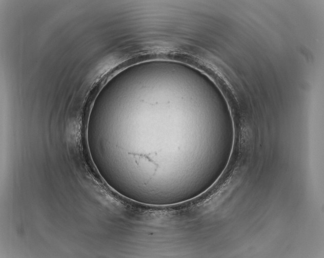 X0000111910778200908031137