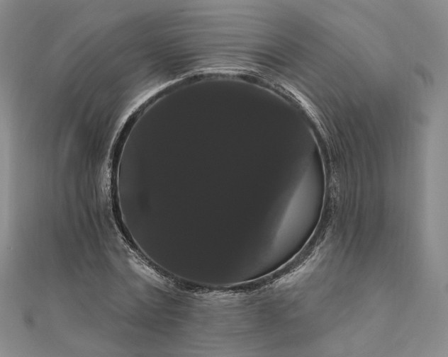 X0000111910779200908031137