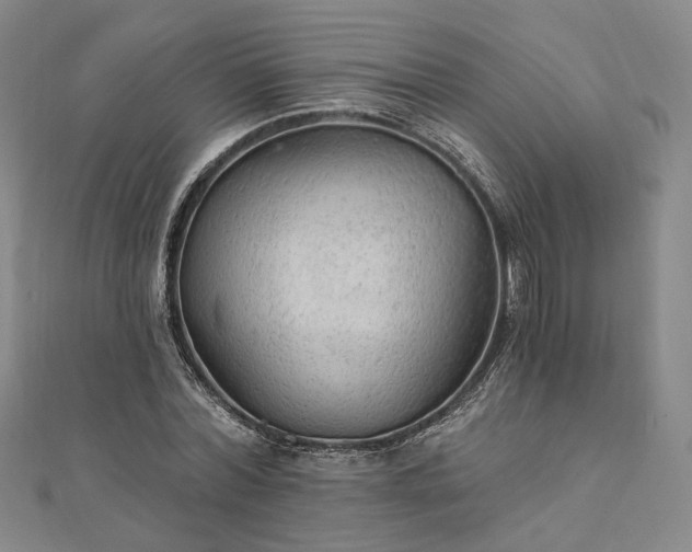 X0000111910780200908031137