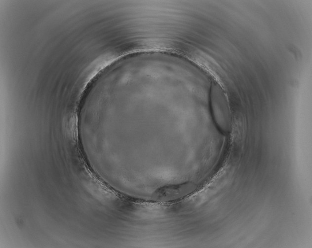 X0000111910781200908031137