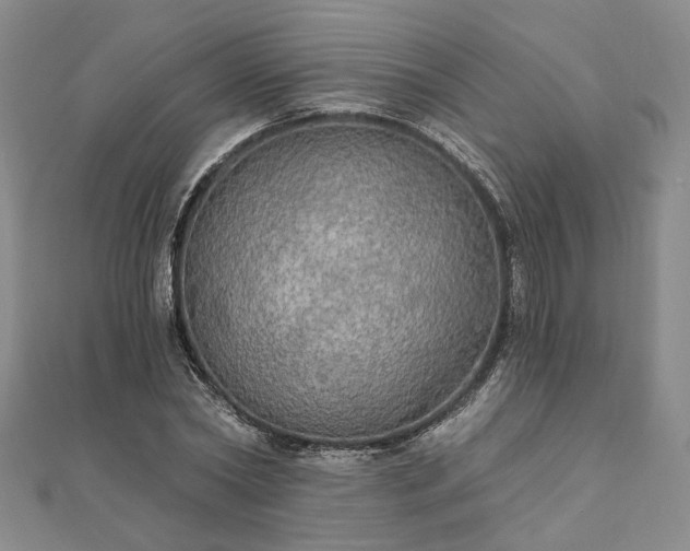 X0000111910782200908031137