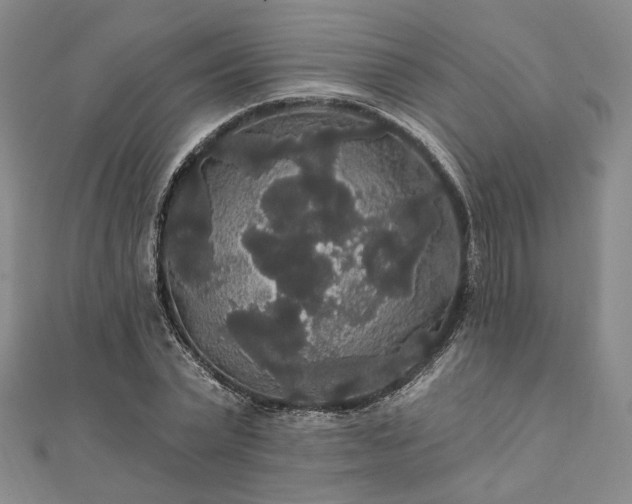 X0000111910783200908031137