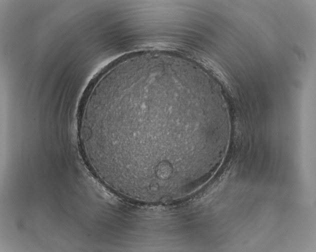 X0000111910784200908031137
