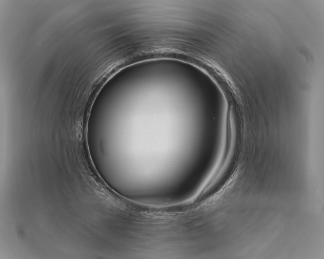 X0000111910785200908031137
