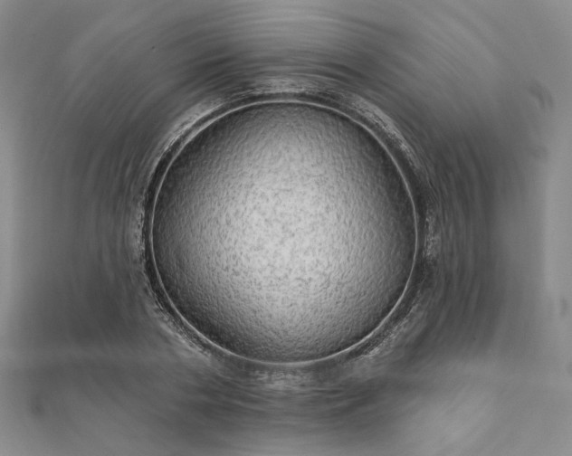 X0000111910786200908031136