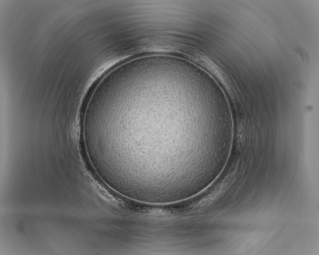 X0000111910787200908031136