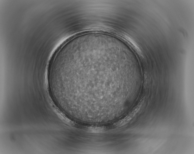 X0000111910788200908031136