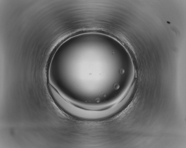 X0000111910789200908031136