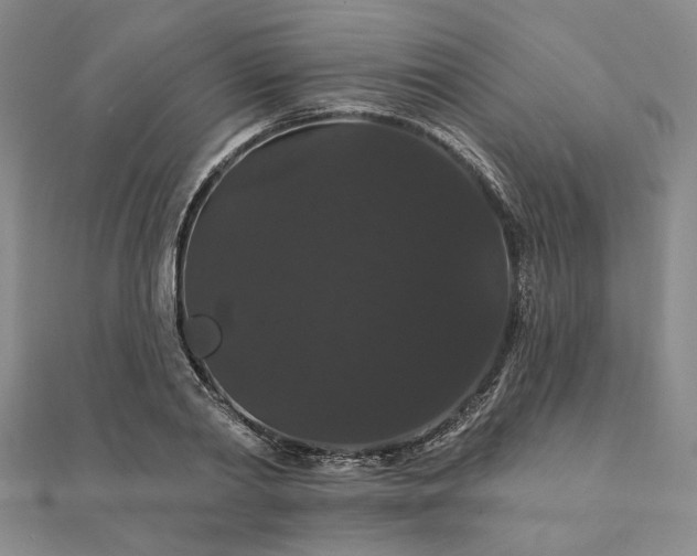 X0000111910790200908031136