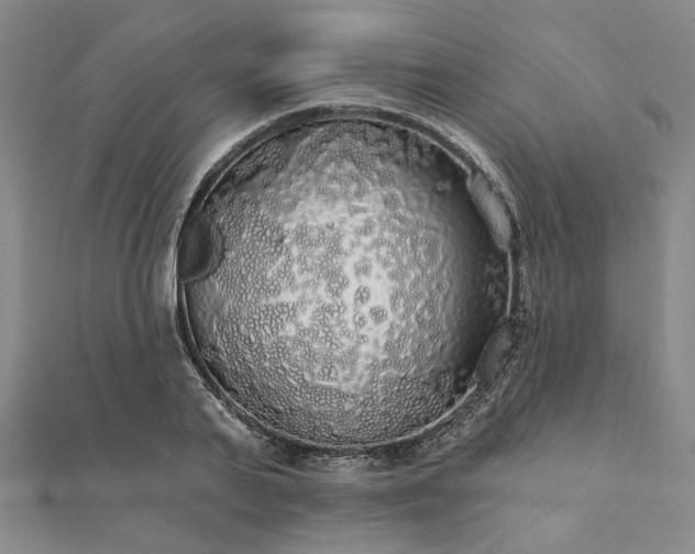 X0000111910791200908031136