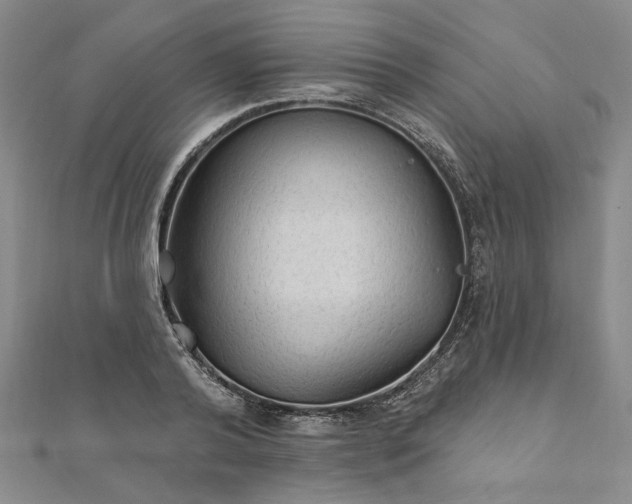 X0000111910792200908031136