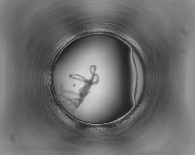 X0000111910793200908031136