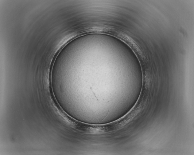 X0000111910794200908031136