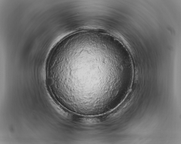 X0000111910795200908031136